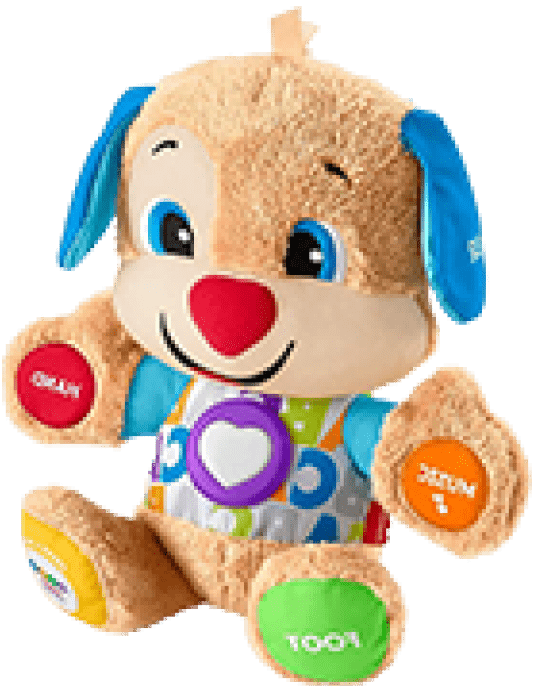 Buy Soft Spongy Teddy Bear