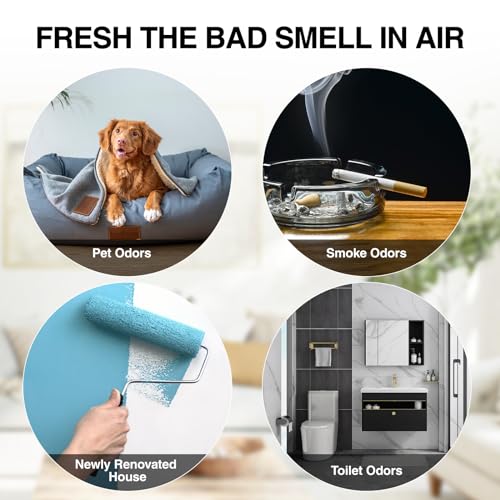 Ozone Generator – 80,000mg/h High-Capacity O3 Air Purifier for Odor Control Home, Kitchen, Car, Office, Basement, Pets, and Smoke – Covers Up to 6,000 Sq Ft